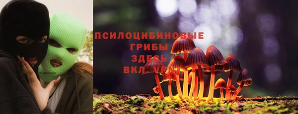 mix Гусь-Хрустальный