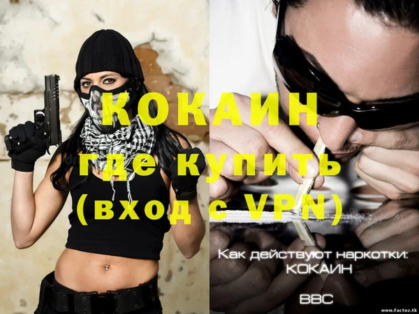 скорость Щигры
