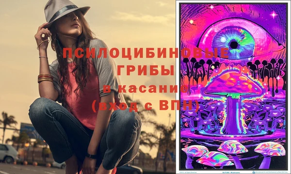 apvp Нягань