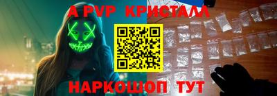 стафф Камышлов