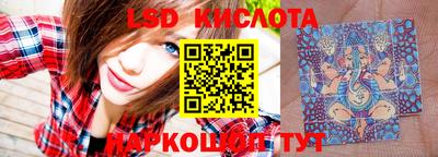PSILOCYBIN Канаш