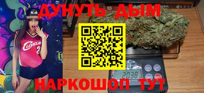 стафф Камышлов