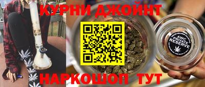 стафф Камышлов
