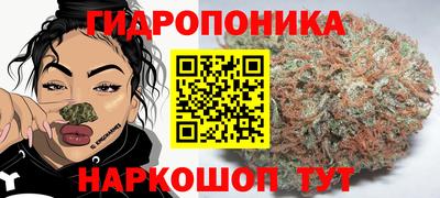 мдпв Кандалакша