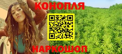 стафф Камышлов