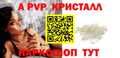 стафф Камышлов
