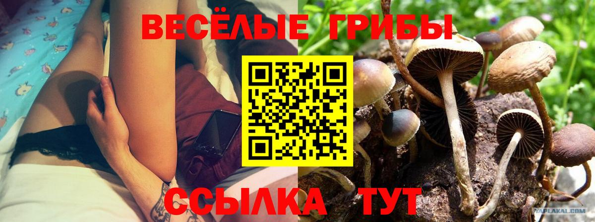 Псилоцибиновые грибы Magic Shrooms Осинники